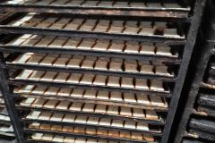 WhatsApp-Image-2025-11-25-at-12.33.28-PM